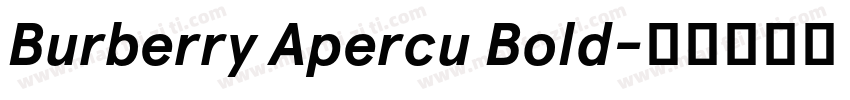 Burberry Apercu Bold字体转换